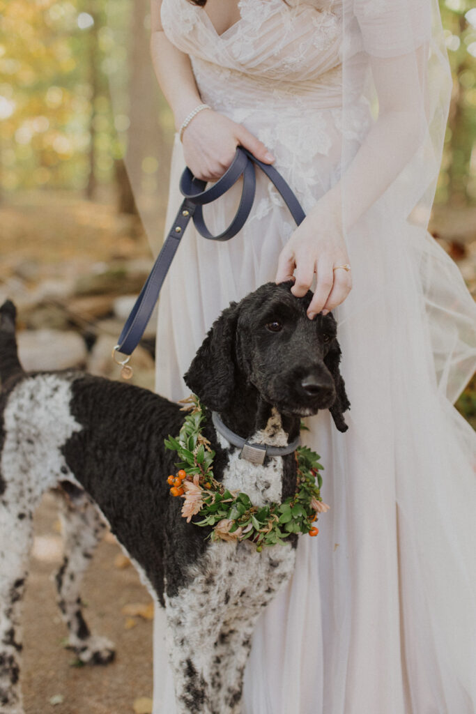 Charming floral dog collars for fall wedding in colors of terra cotta, burgundy, dusty blue, and natural greens. Fall wedding with dogs in ceremony and floral accents. Design by Rosemary and Finch Floral Design in Nashville, TN.