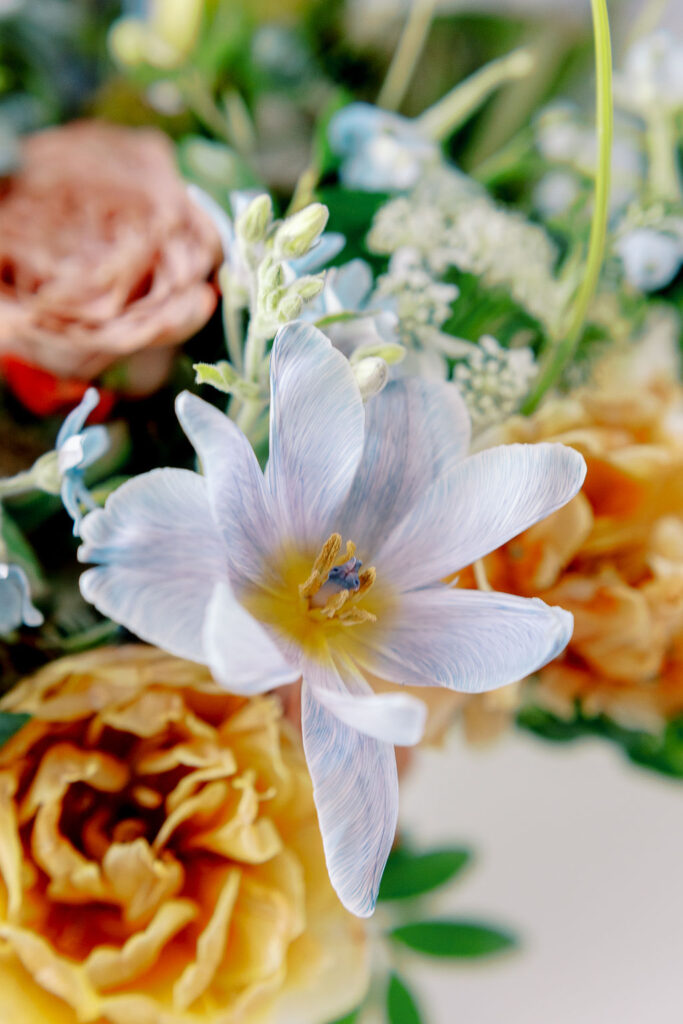 Whimsical bridal bouquet for fall Tennessee wedding. Soft whimsical floral design for unique fall wedding design. Fall wedding color palette in brown, soft blue, dusty rose, and muted greens. Whimsical florals featuring dried hydrangeas, tulips, delphinium, and grasses. Design by Rosemary & Finch Floral Design in Nashville, TN. 