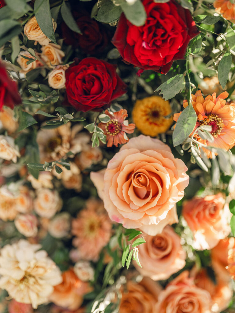 Stunning flower-forward, lush chuppah for fall wedding ceremony at Southall Farm and Inn. Bright, autumnal colors of rosy pink, deep red, blush, rusty orange, peach, and golden yellow are combined with the depth of full greenery. Color-blocked florals of dahlias, tess roses, cappuccino roses, moab roses, quicksand roses, spray roses, zinnias, lisianthus, yarrow, marigolds, ranunculus, and more cover the chuppah. Design by Rosemary and Finch Floral Design in Nashville, TN.