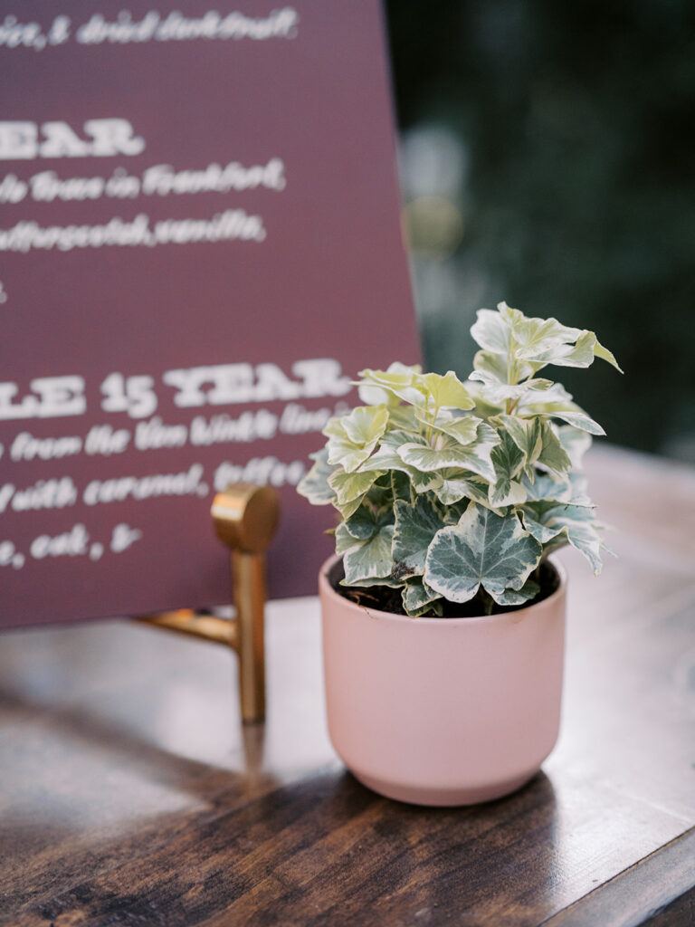 Simple, potted green plants create a light focal point for Nashville birthday party in private home. Plants are scattered throughout dining tables for the reception as well as the cocktail hour. Design by Rosemary and Finch Floral Design in Nashville, TN. 