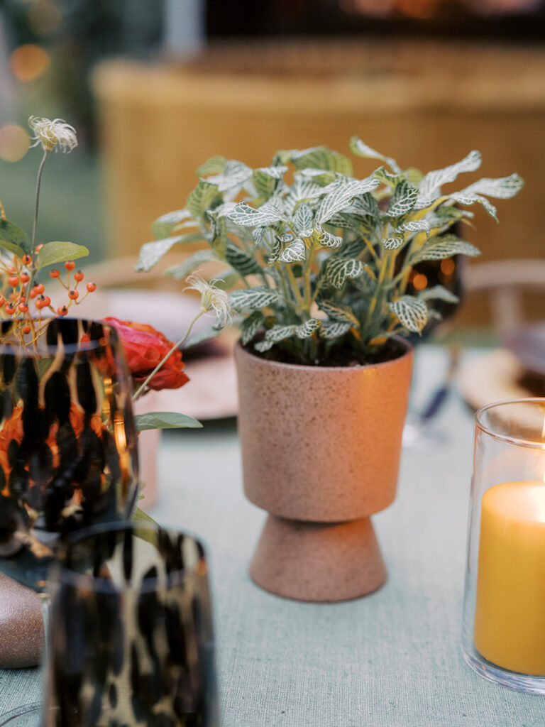 Simple, potted green plants create a light focal point for Nashville birthday party in private home. Plants are scattered throughout dining tables for the reception as well as the cocktail hour. Design by Rosemary and Finch Floral Design in Nashville, TN. 