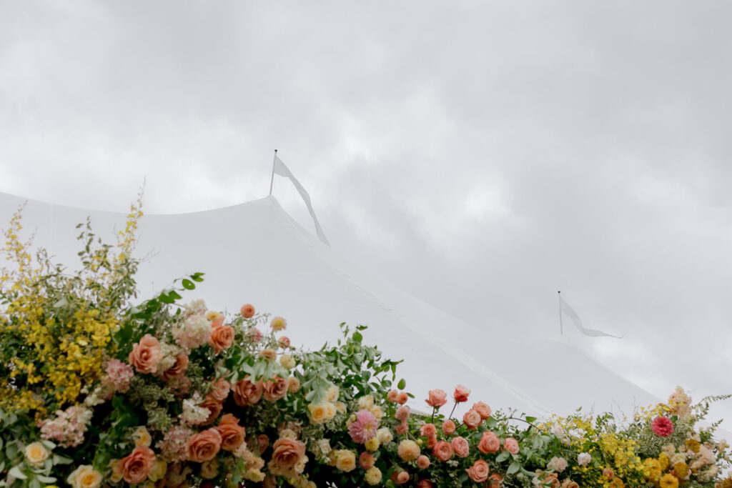 A lush, colorful floral arch frames an elegant tented wedding in Sewanee, TN; Overflowing with garden roses, spray roses, ranunculus, sweet peas, moab roses, lisianthus, yarrow, zinnias, tulips, butterfly ranunculus, foxglove, smokebush, oncidium and greenery in soft shades of blush, peach, butter-yellow and apricot. The floral arch curates a romantic, garden-inspired atmosphere with natural, airy textures and timeless charm. Design by Rosemary and Finch Floral Design in Nashville, TN.
