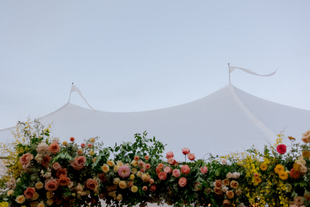 A lush, colorful floral arch frames an elegant tented wedding in Sewanee, TN; Overflowing with garden roses, spray roses, ranunculus, sweet peas, moab roses, lisianthus, yarrow, zinnias, tulips, butterfly ranunculus, foxglove, smokebush, oncidium and greenery in soft shades of blush, peach, butter-yellow and apricot. The floral arch curates a romantic, garden-inspired atmosphere with natural, airy textures and timeless charm. Design by Rosemary and Finch Floral Design in Nashville, TN.